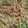 04 Aktion April 25 Feen und Wichtelwald